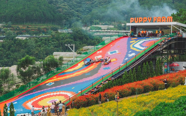 Tour 4: Tham quan sở thú Zoodoo Đà Lạt – Khám phá thiên nhiên và nông trại