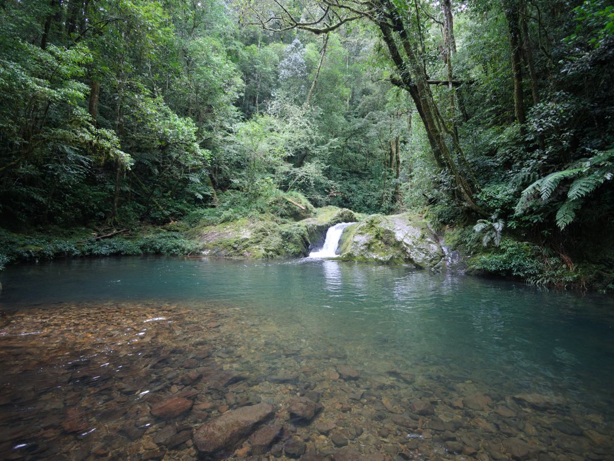 Vườn quốc gia Bidoup – Núi Bà 2026: Kinh nghiệm trekking an toàn